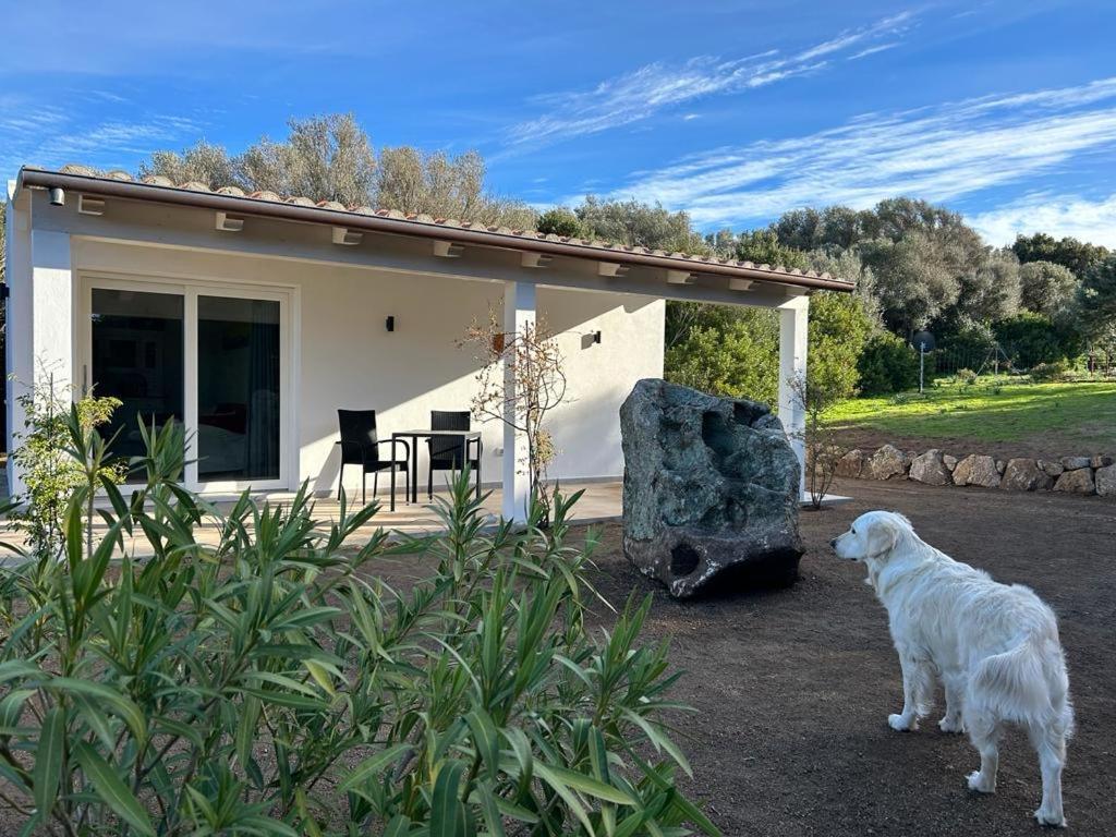 La Piana Holiday House Bassacutena المظهر الخارجي الصورة