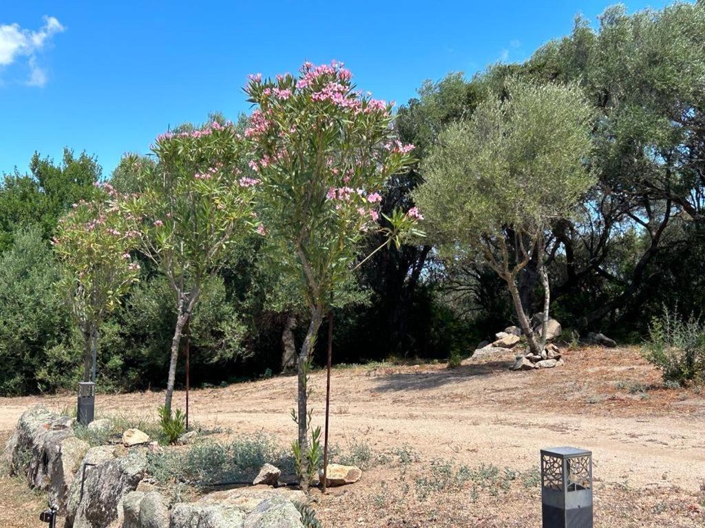 La Piana Holiday House Bassacutena المظهر الخارجي الصورة