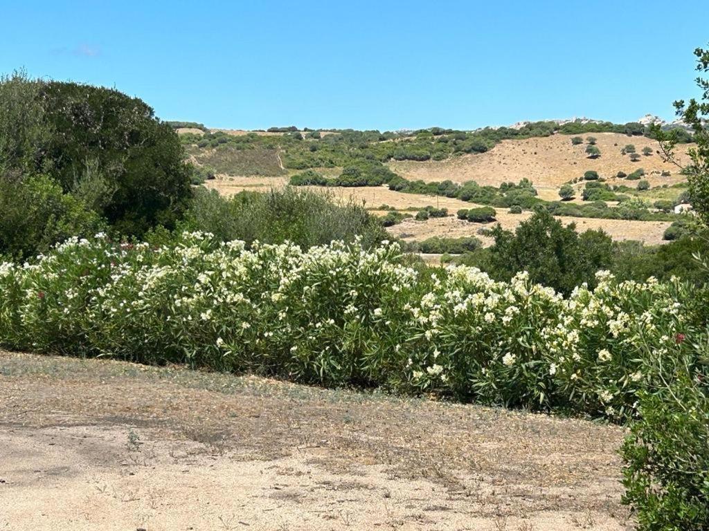 La Piana Holiday House Bassacutena المظهر الخارجي الصورة